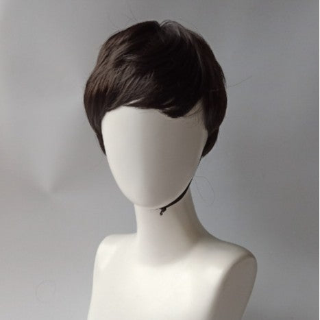 Men's wig(Wigs made from real Indian hair)