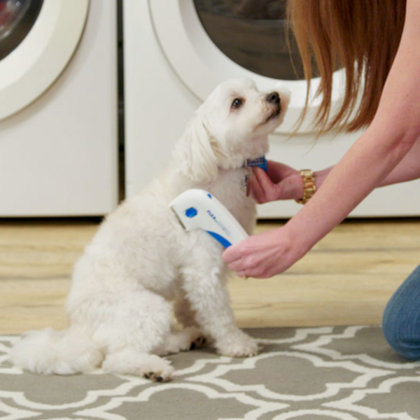 Find, Kill & Remove Pesky Fleas In Minutes-Imported from the United States-Flea Doctorâ„¢