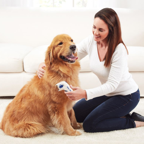 Find, Kill & Remove Pesky Fleas In Minutes-Imported from the United States-Flea Doctorâ„¢