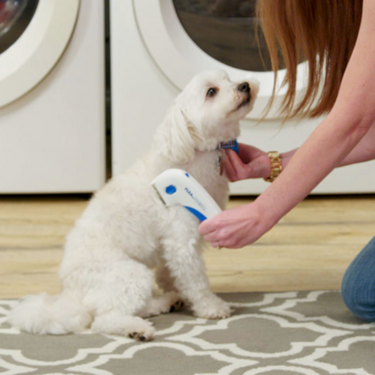 Find, Kill & Remove Pesky Fleas In Minutes-Imported from the United States-Flea Doctor™