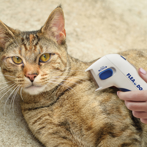 Find, Kill & Remove Pesky Fleas In Minutes!